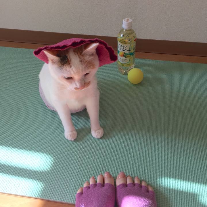 22e20f87 8990 4ca4 a733 3b9d56e8454c