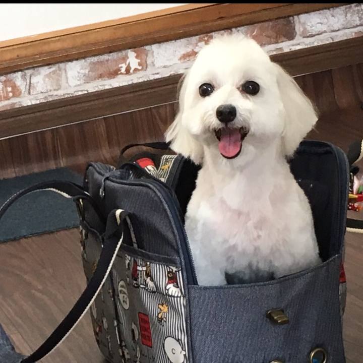 22e21298 5b44 43bf bcf9 5a63d3815d81