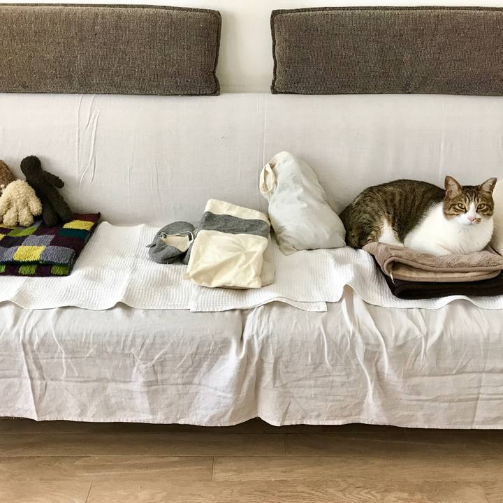 22e234eb 3667 4af1 a2d2 57e563b5feb4