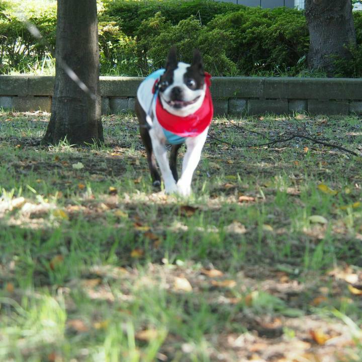 22e24815 949a 4d5b 90f2 ca7c50b4e15c