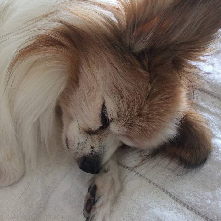 22e267c9 3166 4757 9901 d08eb4ef963c