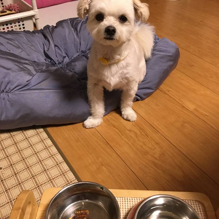 22e26988 8b55 47fd bd97 a65ea4a4cd14