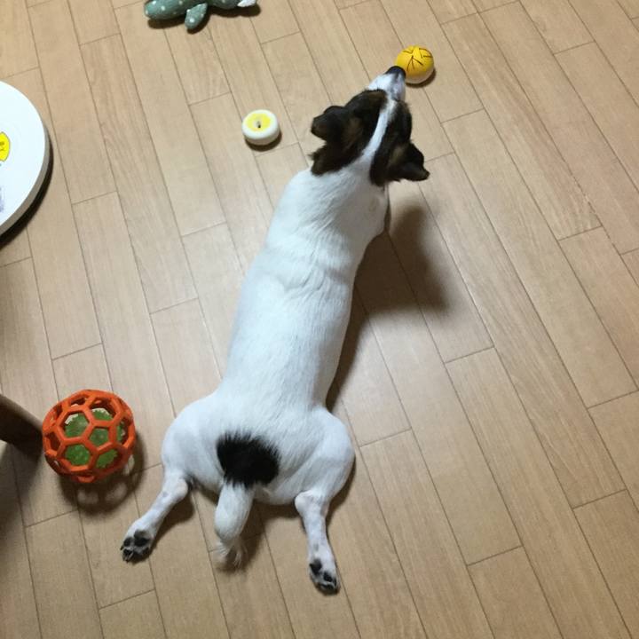 22e27a16 c324 4326 a294 f58008e72aca