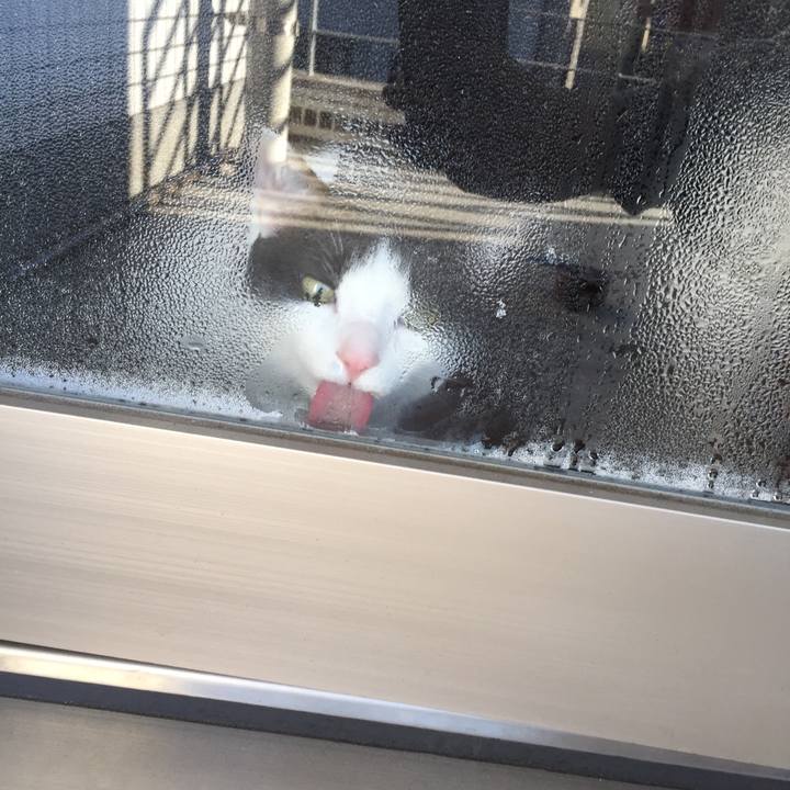 22e2c9d9 2a82 4959 b43f 2189e29f064a