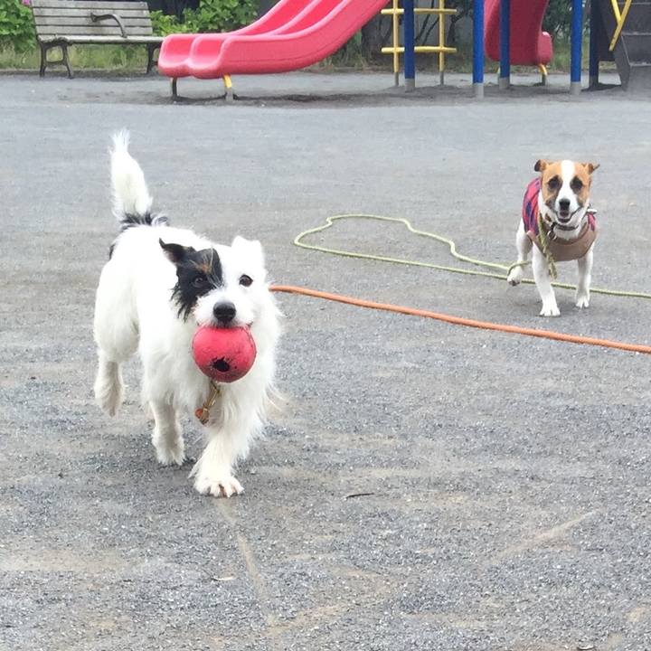 22e30d5e 8a1b 4e76 892d 8d9379221b02