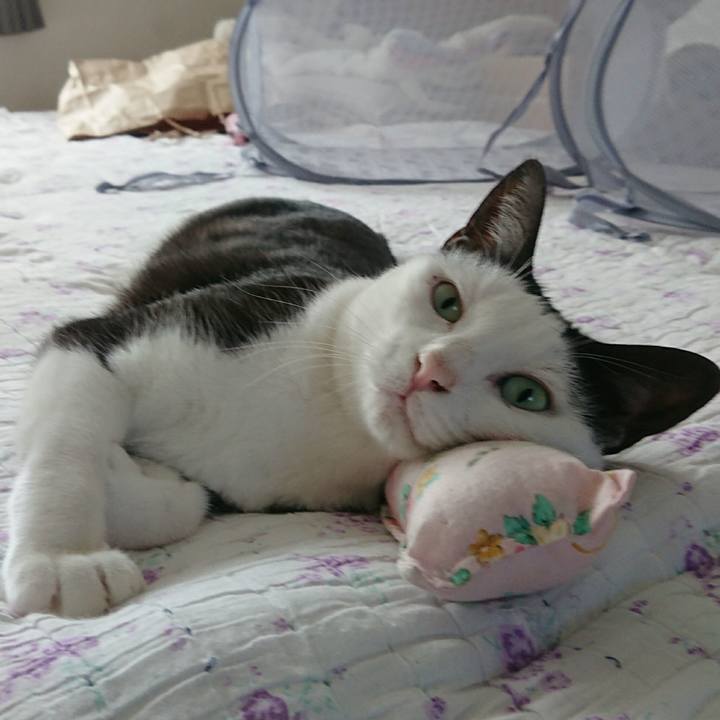 22e38564 0eed 4bdd 8582 64dad8a4dae4