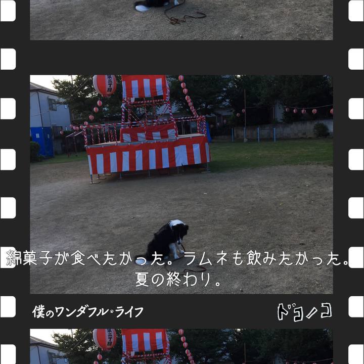 22e3c4c6 ddd1 4d81 b1b1 6a20d4666dfc