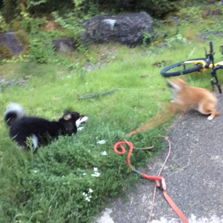 22e3d7bc 9c81 4f0a ab52 aed500d61e51