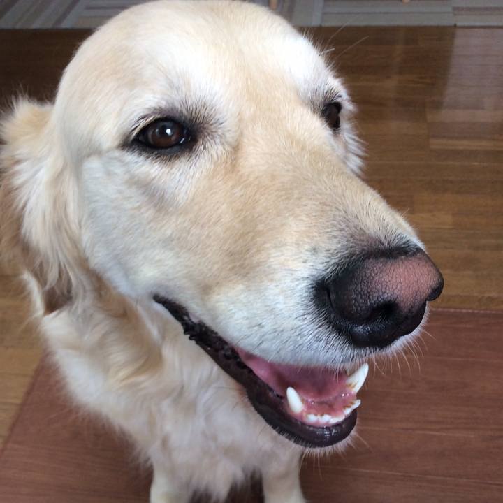 22e42337 d227 48f0 87f5 161a643ca91d