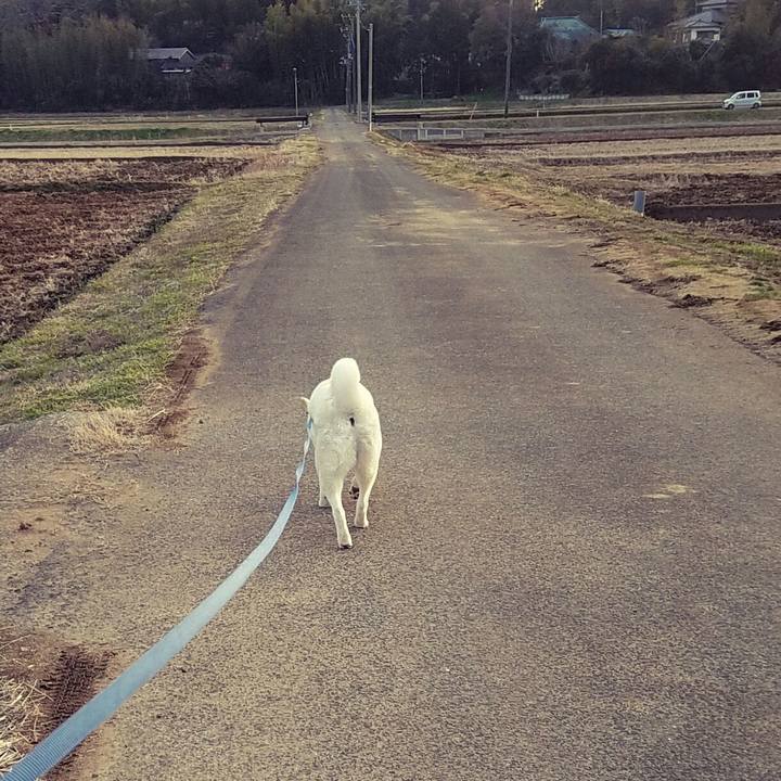 22e42a97 e79d 40ff 9bdb d4fafb962c23