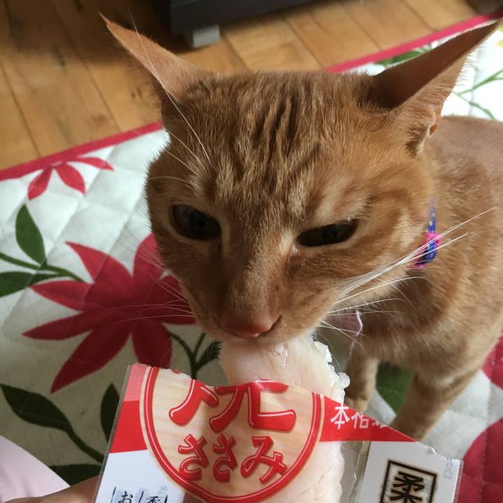 22e46a36 9382 4c1e 9bc9 764654d584c2