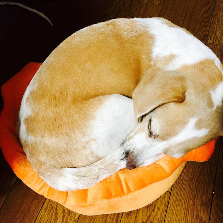 22e53b33 dc7d 4606 828d 5fee12742ff2