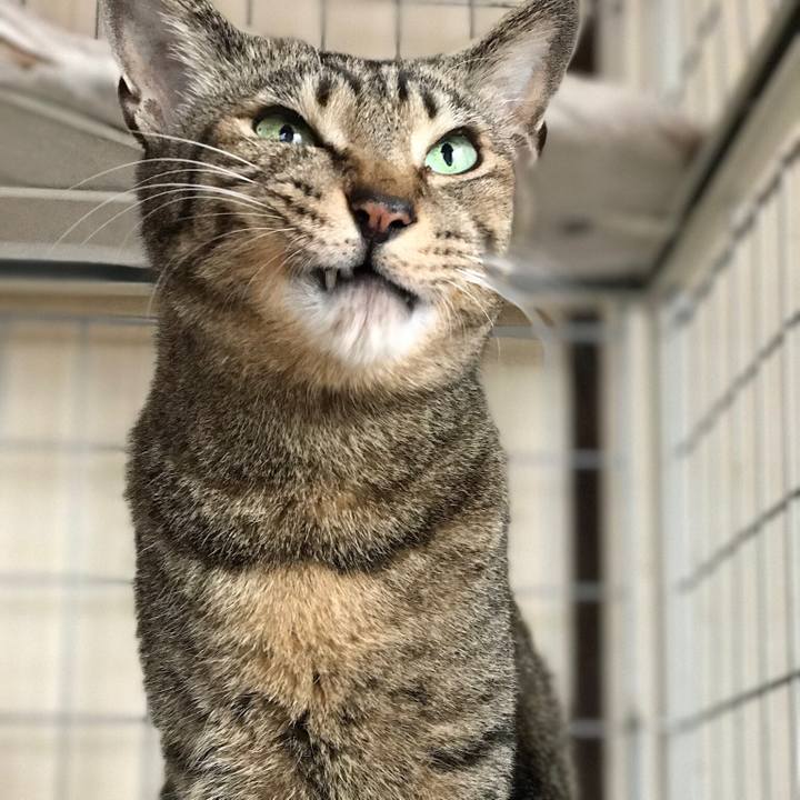 22e622a2 8856 4dbd ba1e d14ecc1835f7