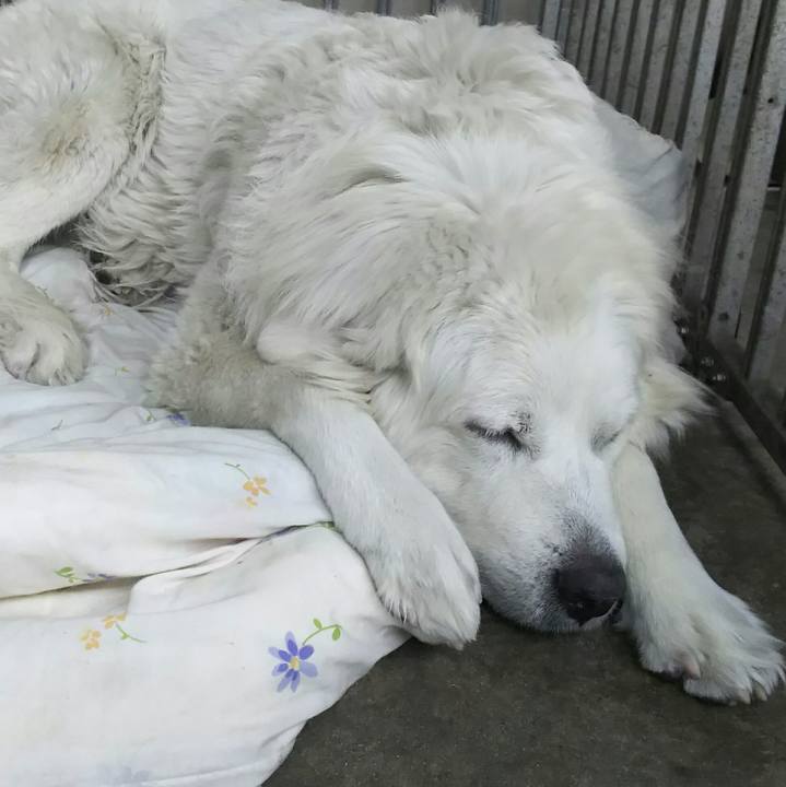 22e6d99b e5d1 49e3 85ce d990f227e0f9