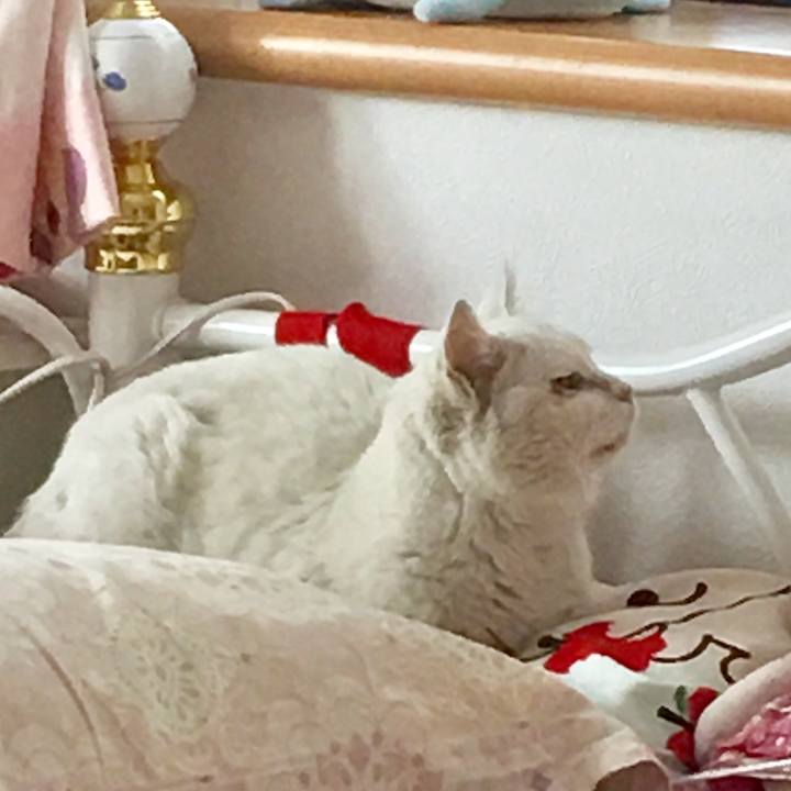 22e7ea1d 4dd0 421f 9d71 23500a1382cc