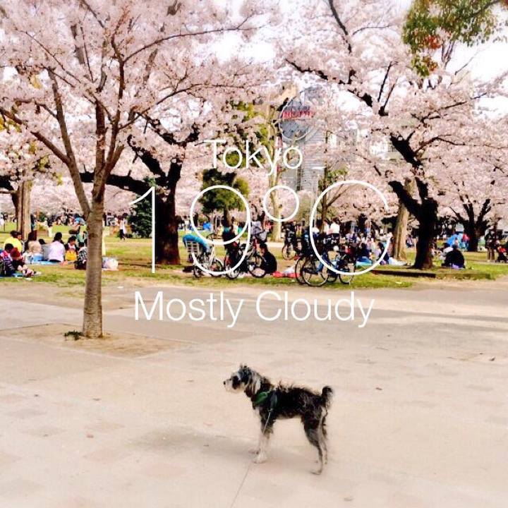 22e80801 4a13 4651 be76 f504da66dbca