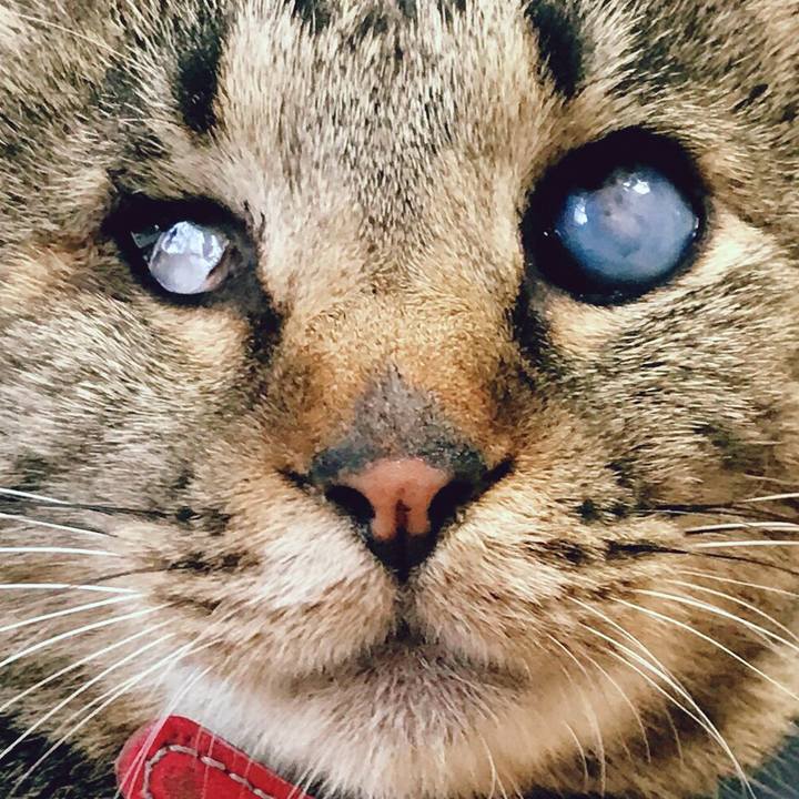 22e8c9c6 d108 4027 b4b2 f7822597c629