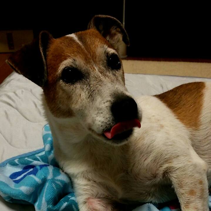 22e93112 df31 4404 95bb 0fa923c6966c