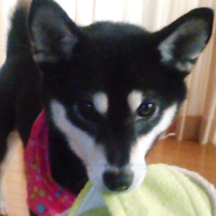 22e94787 42a5 4fdc b810 985bcb668abb