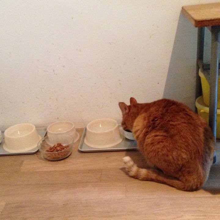 22ea4552 8cbf 4b1f afc2 d11865bee638