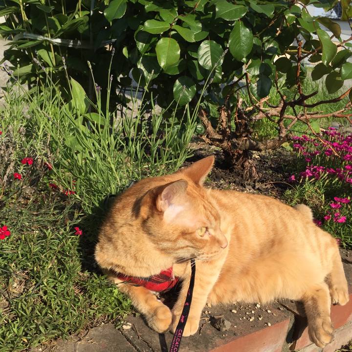 22eb4d23 5840 4abc 9f29 850f392c170e