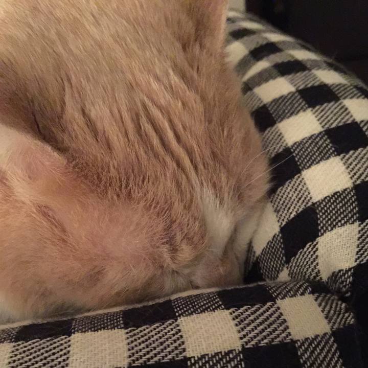 22ebaf3a b52b 4737 8f61 3dd3e2f44620