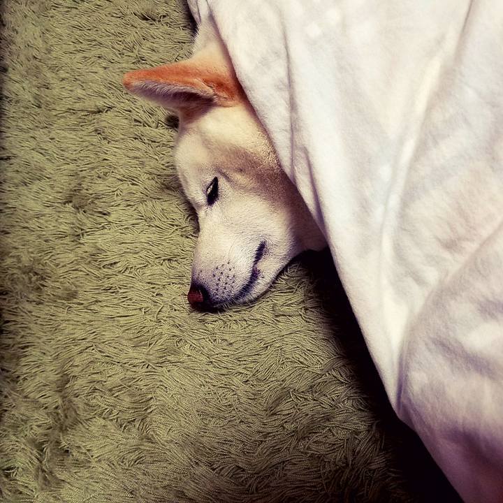 22ebc268 fb0c 474d 8cc8 a5939b5892db