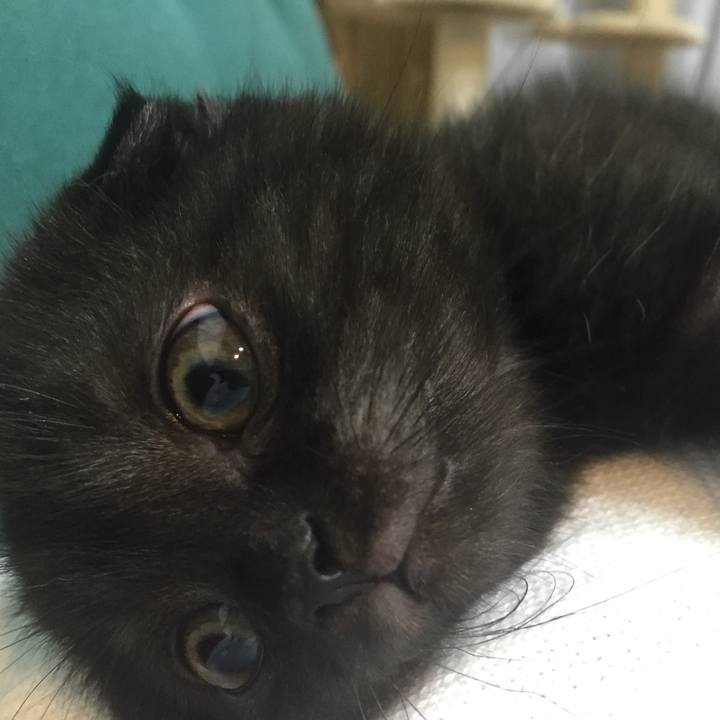 22ebce61 8cce 42b3 a73d 7b23879b90cf