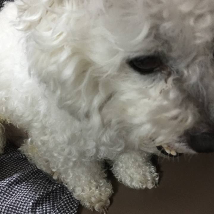 22ec14c4 2996 44e7 b6b5 e36859c236c1