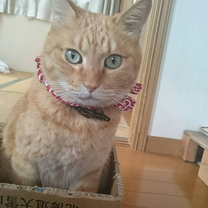 22ec4eee 2e47 4838 a72d ad8399180eb6