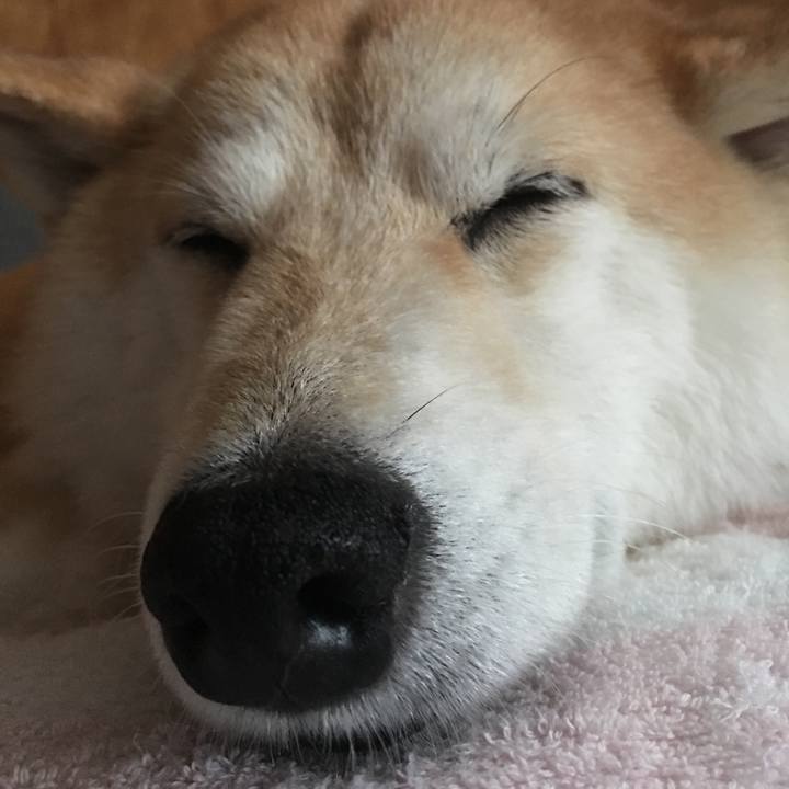 22edec31 c239 4831 a71c 16b03eb64ca8