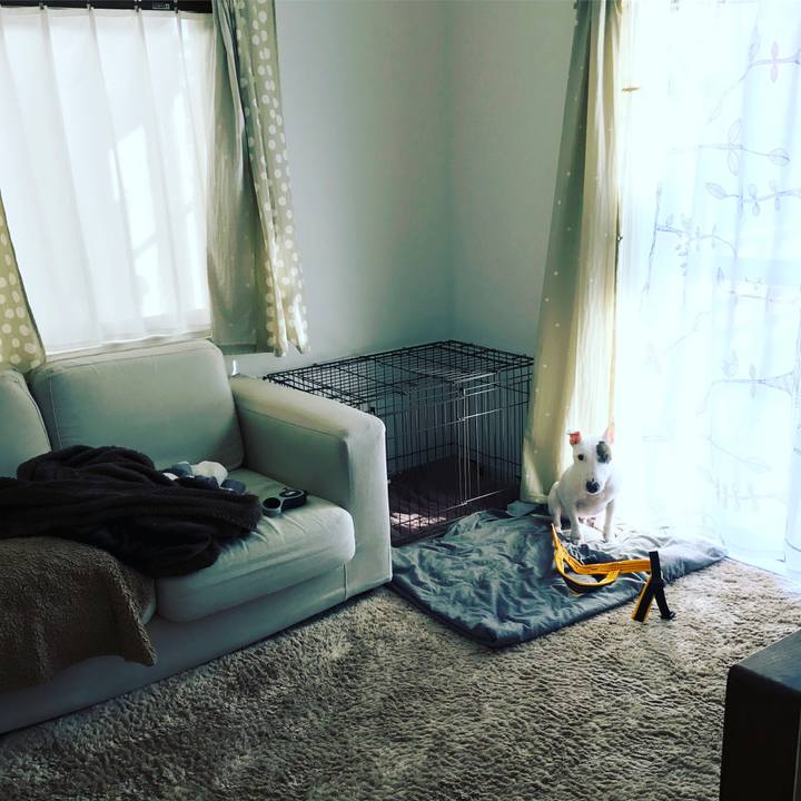 22eeb34f 4fbc 492d 98dc a10bf04a0440