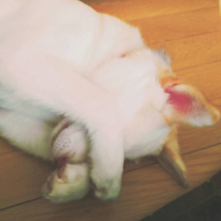 22ef4bac fc08 4bb7 b5d1 3fe6c21e1c5c