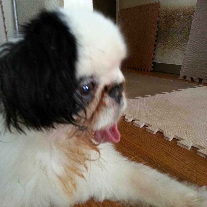 22ef9fbb 8501 491c 9279 9cf36742f8ef