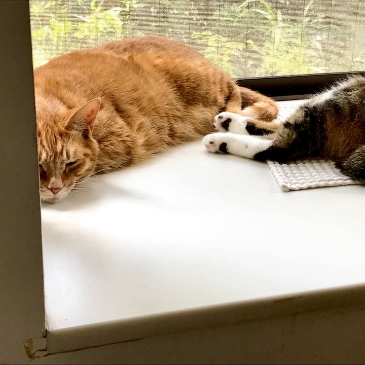 22f01fc2 d2ae 492b 9677 2dd1ad40e4a6