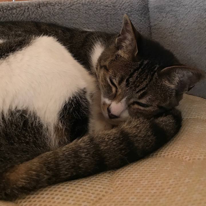 22f0345c be87 4416 bc82 f1ba18cd0b41