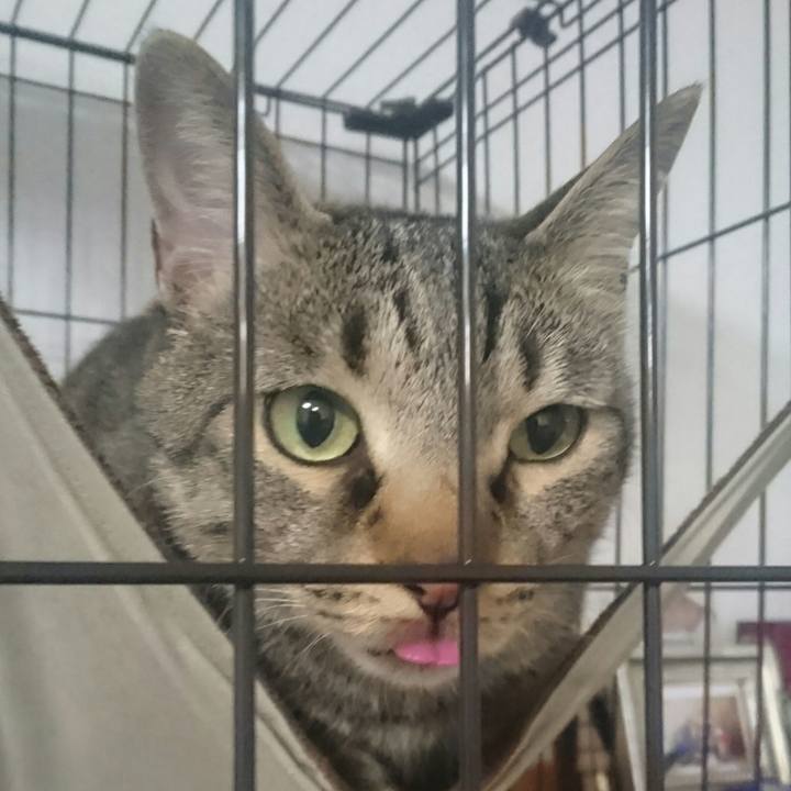 22f08f12 52d1 44bb 8c4a 5a0b01a08b0f