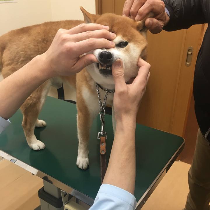 22f136d3 8c70 43d5 94e4 1c07ecd00550