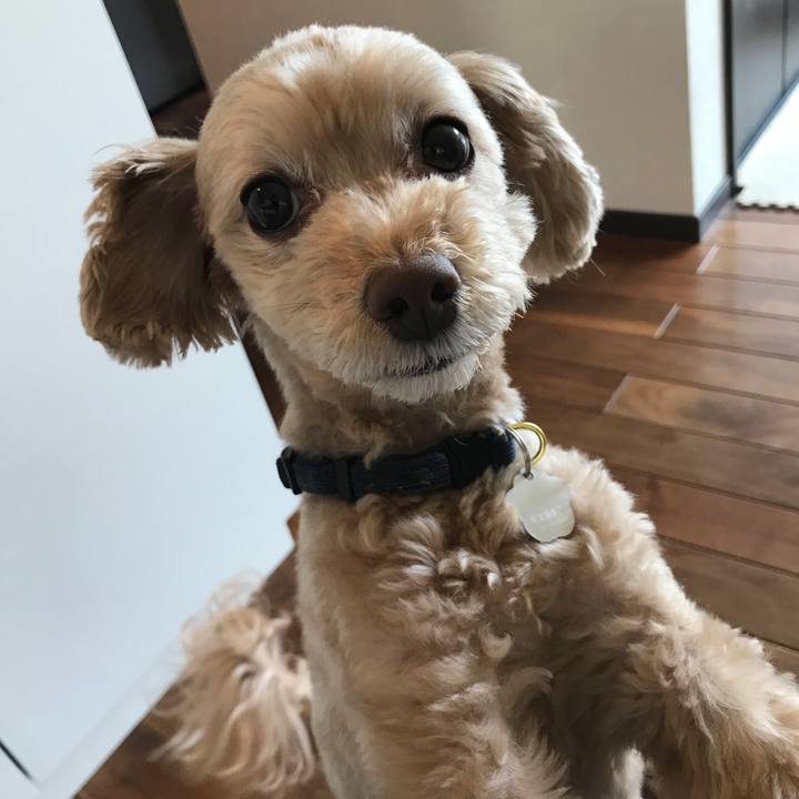 22f155d0 e458 40f8 8b12 fa3d9365a355