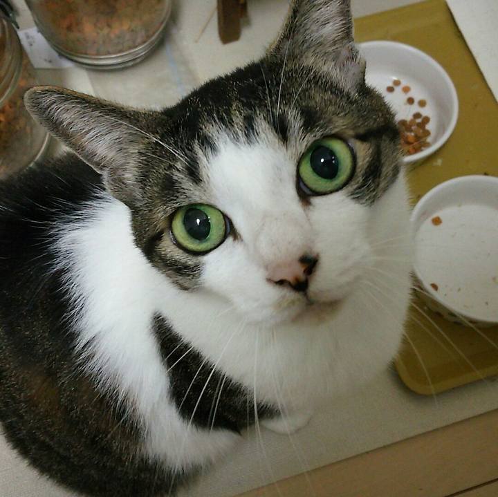 22f1d8bf b946 42b4 8e5f 97dbbd64cfbb