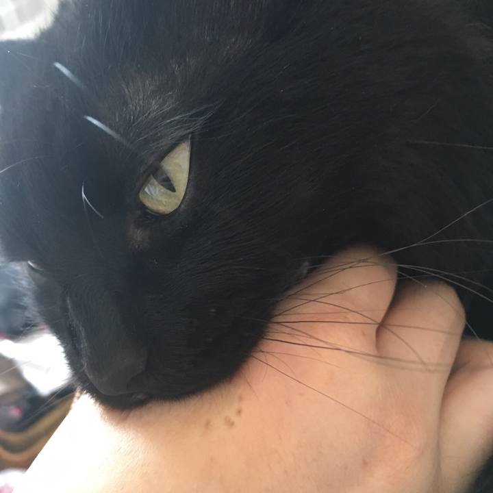 22f2880f 0050 4bb2 b077 317d50a20243