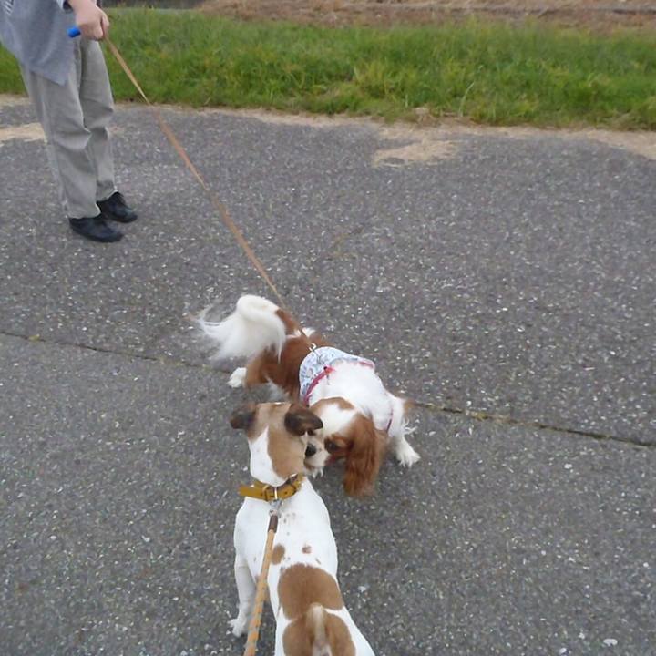 22f28898 01e4 4dc2 9ee3 3aad13d11486