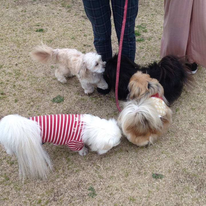 22f38c03 070d 4cb8 94d8 2d9211ed5f08