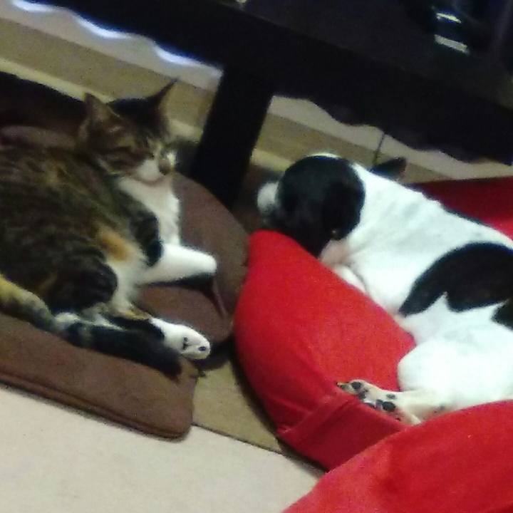 22f41ed2 7b1e 4a87 823f b5a9a377672f