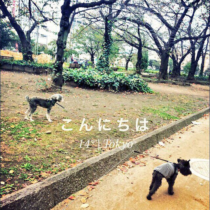 22f438a3 1594 4ceb ba20 bd9f42d95529