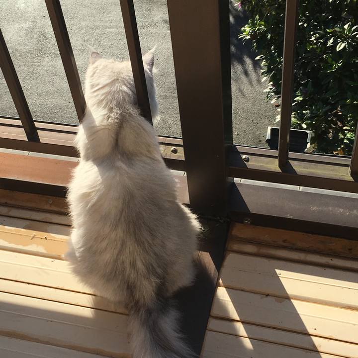 22f462d8 7802 465d bfa0 aa36e6d33e30