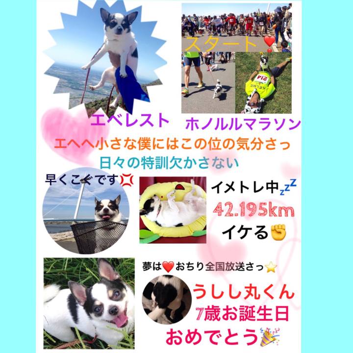 22f4de35 bddf 450f 9f4d ce1f22438fd2