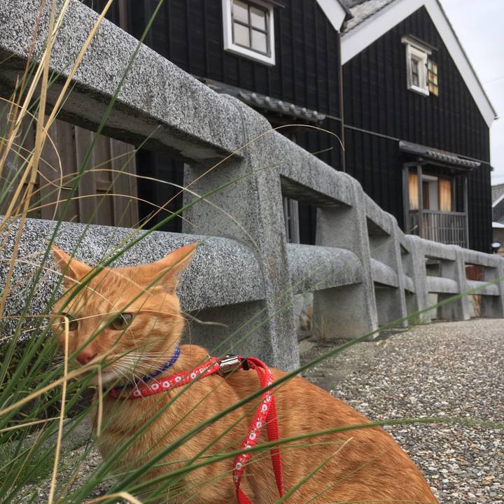 22f4ff1e 3539 4d5e 8620 a151e804c8d4