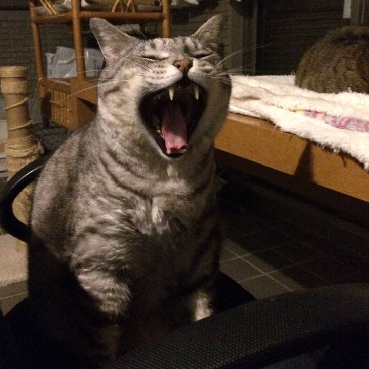 22f54de1 aba1 4116 b89d 1a5c034ffa6b