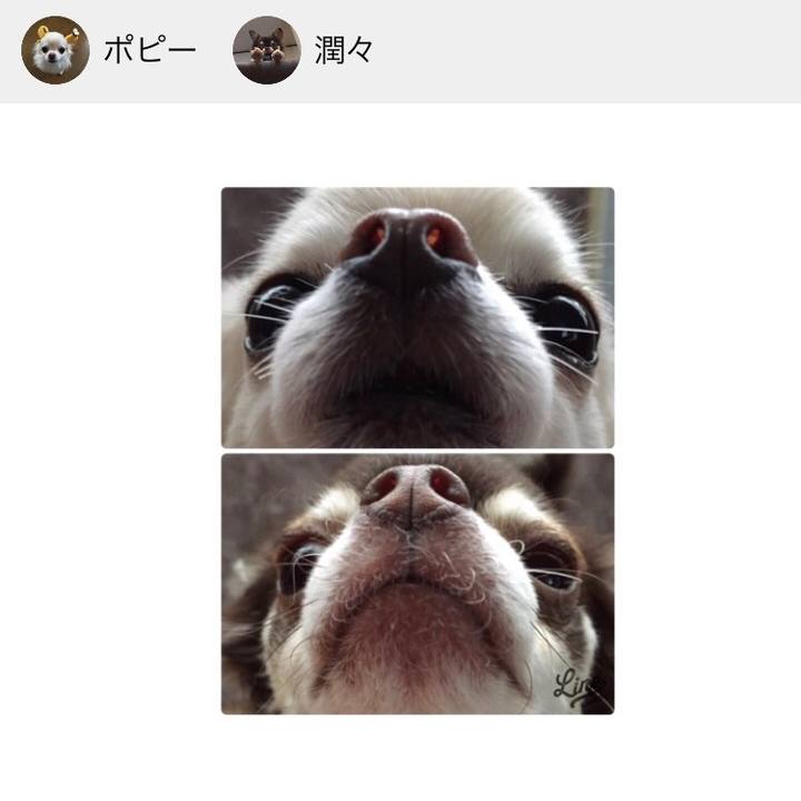 22f568bb 9768 43a3 91c5 dde6097a06ed